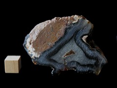 k5337-IMG_4551
