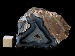 k5338-IMG_4552