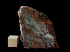 k5341-IMG_4555