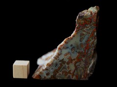 k5342-IMG_4557