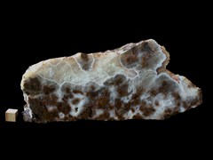 k5352-IMG_4568