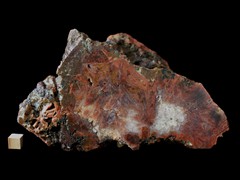 k5353-IMG_4569