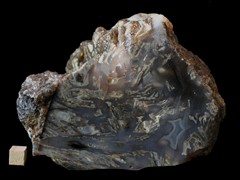 k5355-IMG_4572