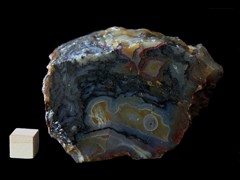 k5366-IMG_4587