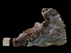 k5368-IMG_4590