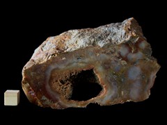 k5372-IMG_4593