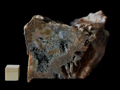 k5380-IMG_4605