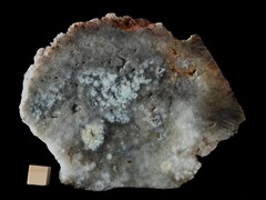 k5384-IMG_4609