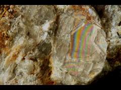k5399-1-IMG_4635