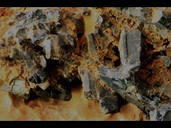 k5400-2-IMG_4641
