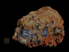 k5401-IMG_4646