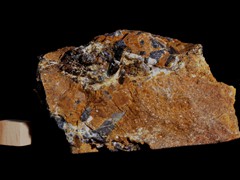 k5403-IMG_4649