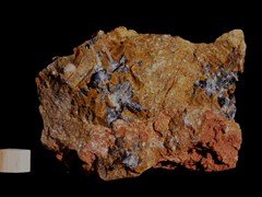 k5404-IMG_4650