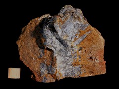 k5405-IMG_4652