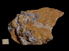 k5406-IMG_4653