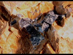 k5407-1-IMG_4655