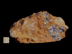 k5407-IMG_4654