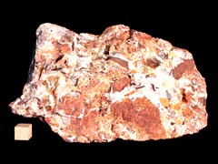 k5416-IMG_4672