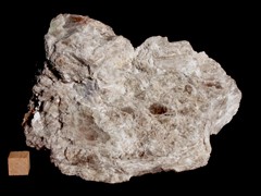 k5417-IMG_4673