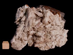 k5418-IMG_4674