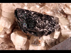 k5419-2-IMG_4677