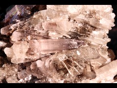 k5419-3-IMG_4678