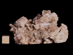 k5419-IMG_4679