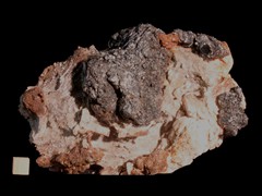 k5420-IMG_4682