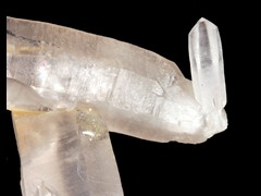 k5421-1-IMG_4683