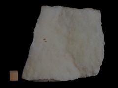 k5422-IMG_4686