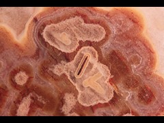 k5424-1-IMG_4690