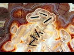 k5425-1-IMG_4693