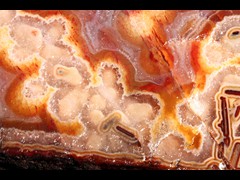 k5426-1-IMG_4697