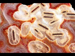 k5426-2-IMG_4698