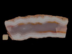 k5427-IMG_4699