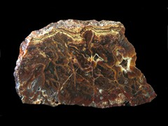 k5442-IMG_4740