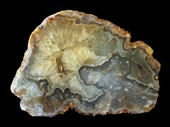 k5444-IMG_4745