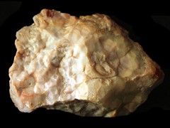 k5458-1IMG_4785