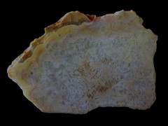 k5458-IMG_4784