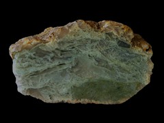 k5459-IMG_4788