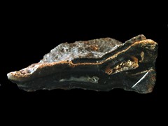 k5462-IMG_4794