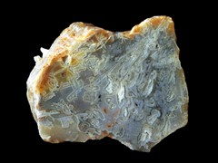 k5470-IMG_4812