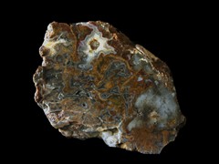 k5475-IMG_4823