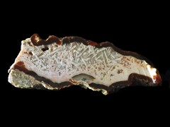 k5478-IMG_4829