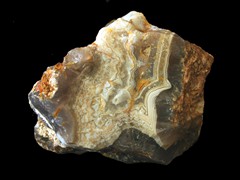 k5484-1-IMG_4845
