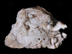 k6248