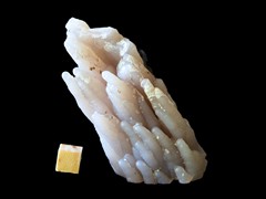 k6281