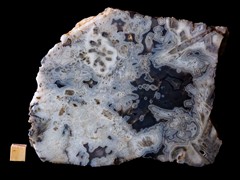 k6349