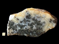 k6354