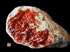 k6388-1